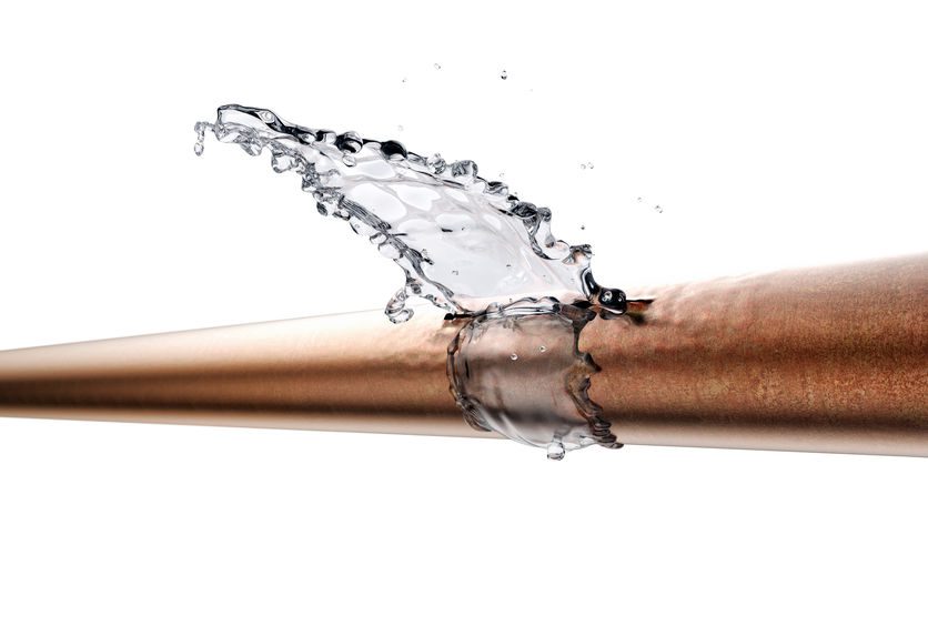 Fort Myers, FL - Water Damage? A Speedy Dry-Up is Essential | Remediation Expert
