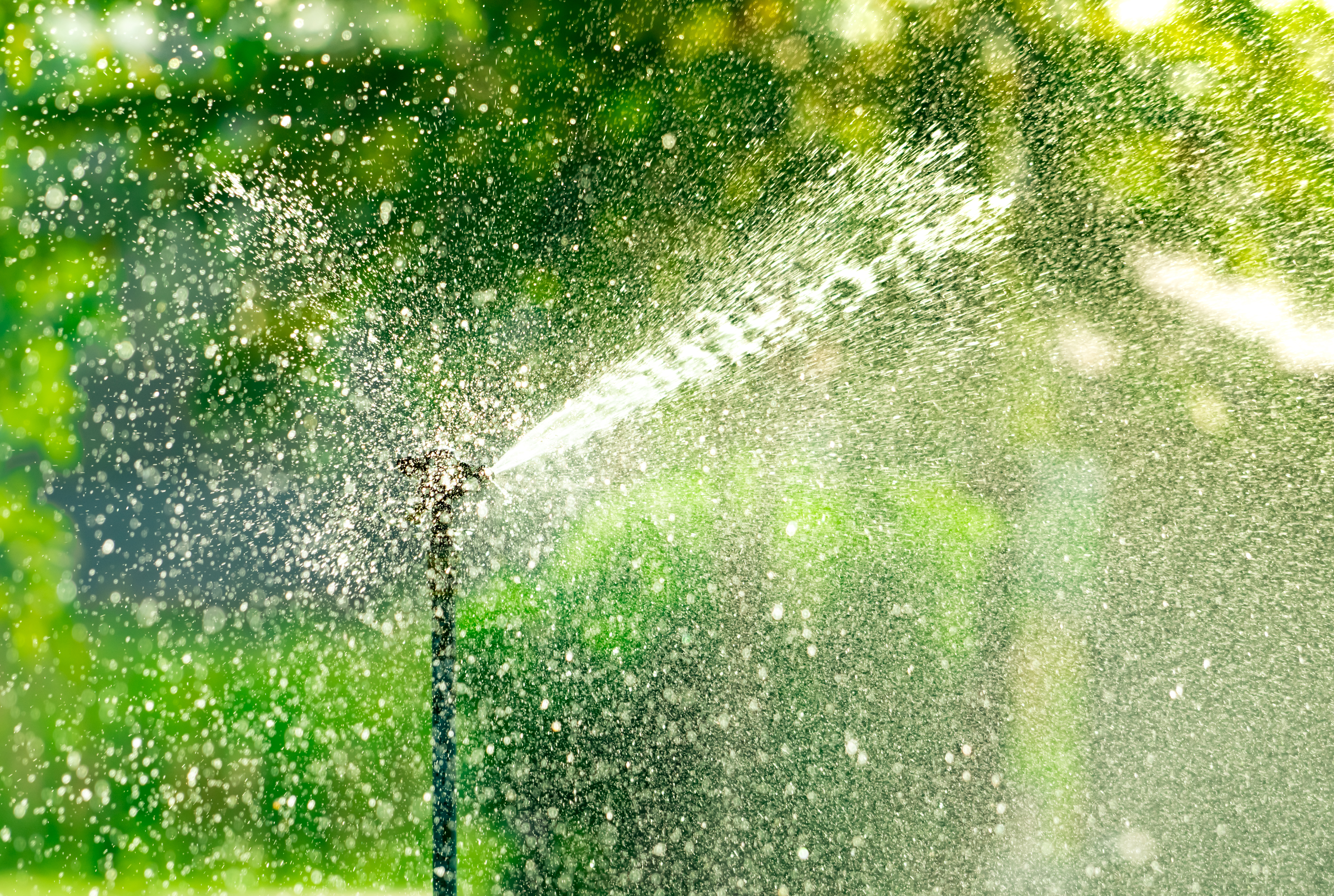 Cape Coral, FL - 5 Questions to Ask Before Hiring an Irrigation Contractor