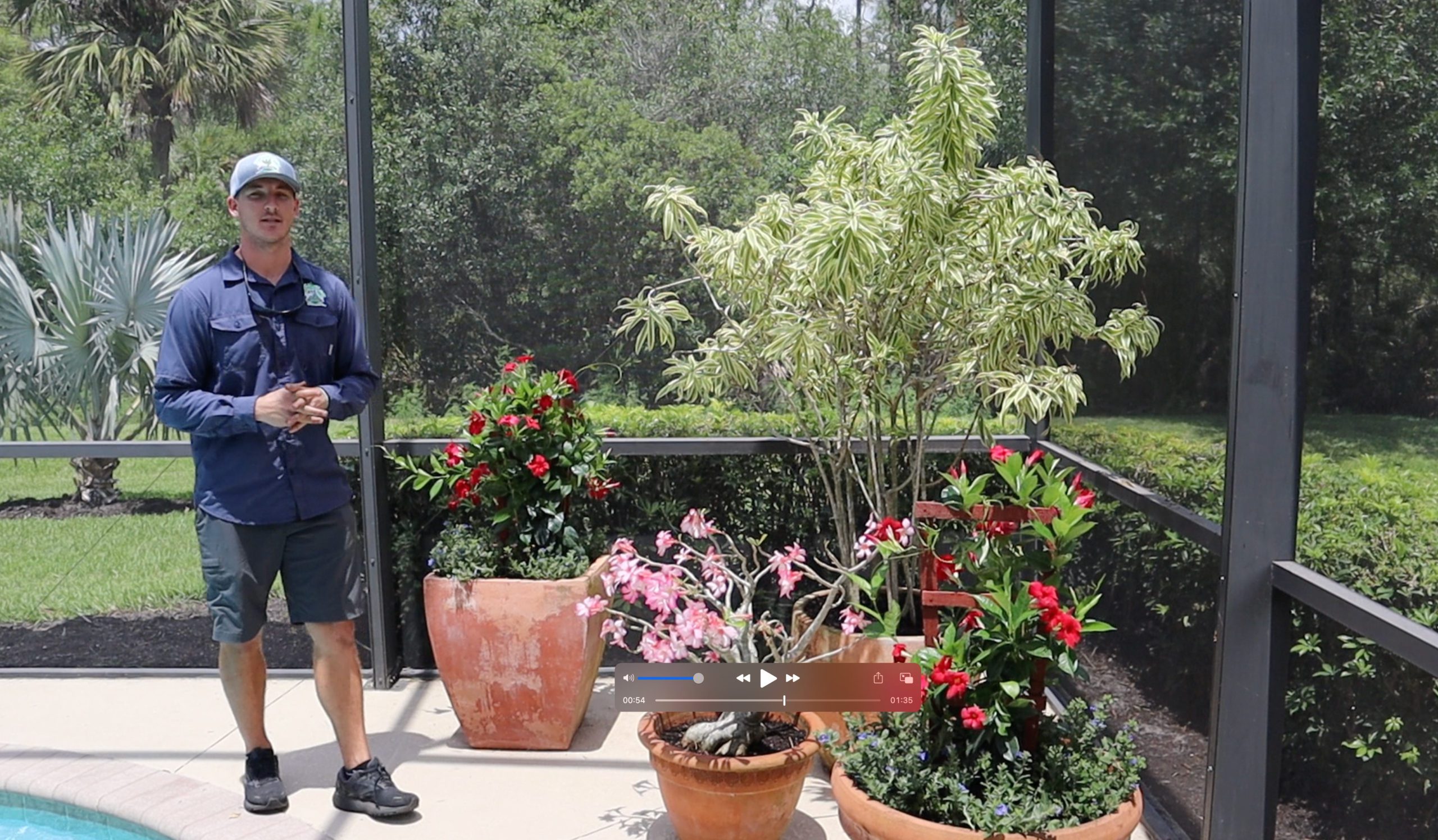 Fort Myers, FL - Adding Potted Plants To Your Pool Deck Will Enhance Your Space
