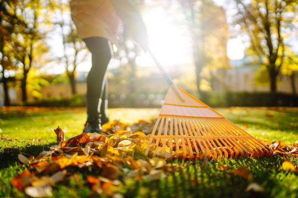 Fort Myers, FL - Prepping Your Landscape for the Fall / Hurricane Season