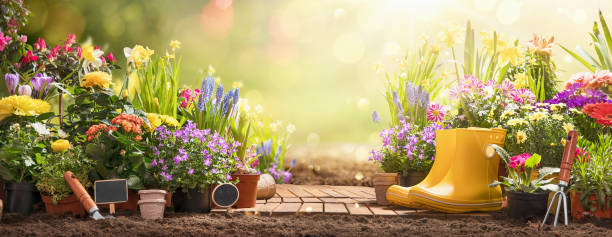 Fort Myers, FL - Preparing your Landscape Design for the Summer Season