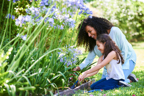 Fort Myers, FL - Preparing for the Spring | Advice from a Local Landscaper