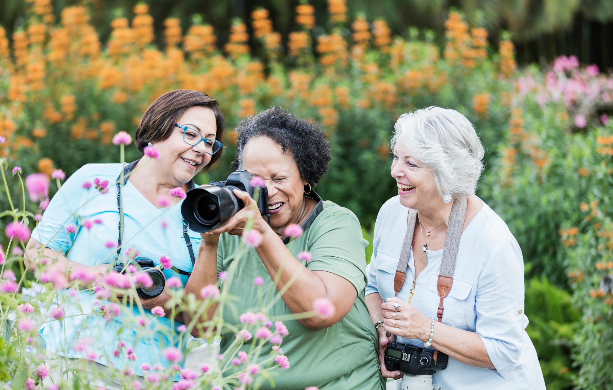 Fort Myers, FL - Creating Photography Areas for Landscaping Specialty Properties