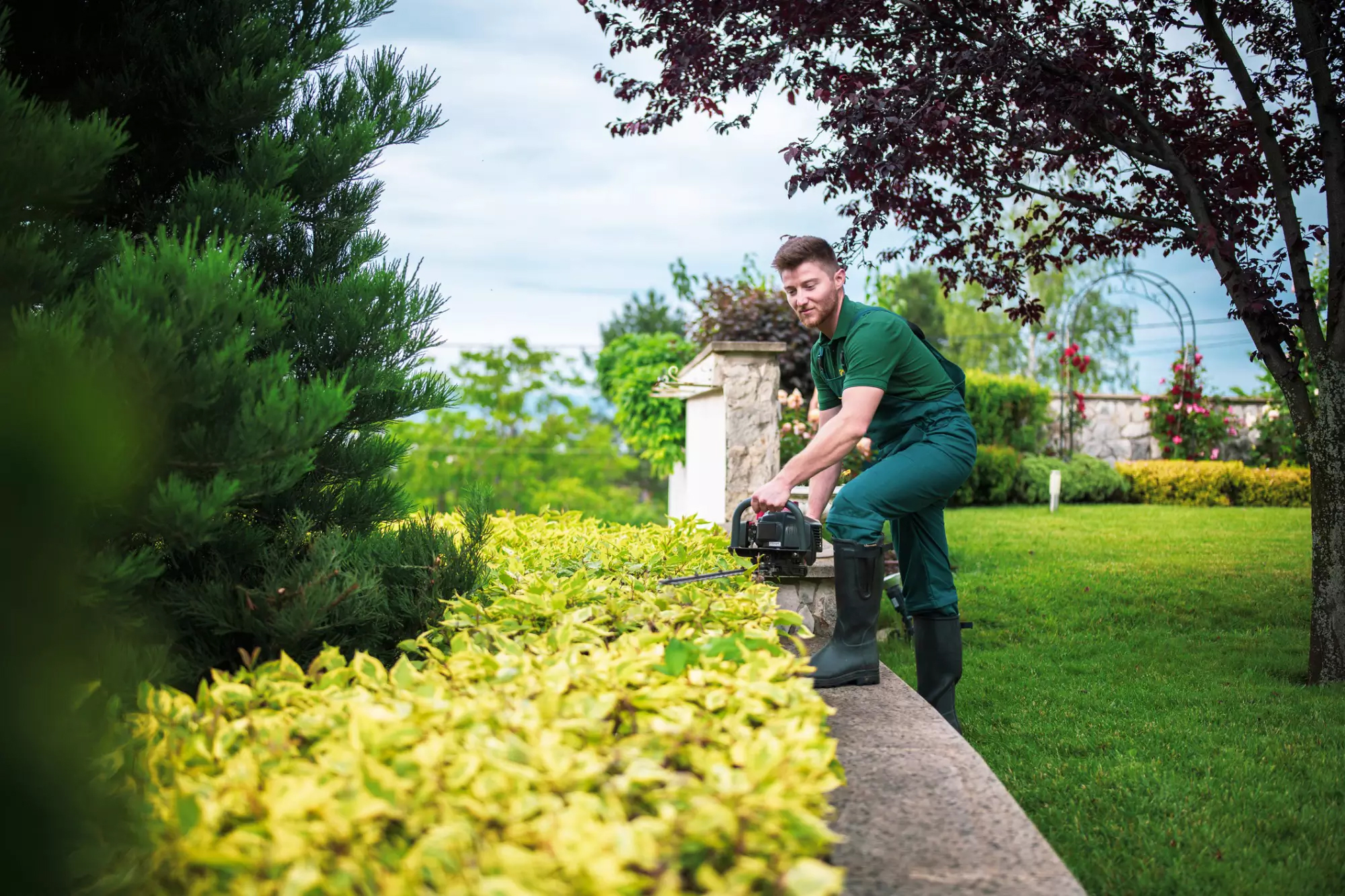 Fort Myers, FL - Landscaping Maintenance Advice for Specialty Properties