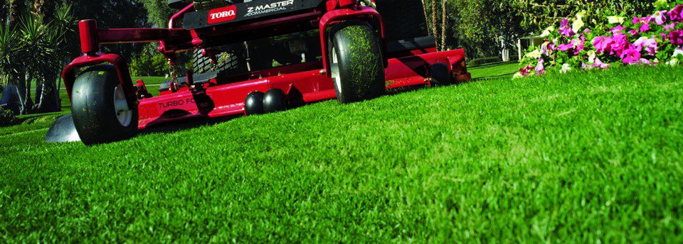 Peer Landscaping of Fort Myers FL
