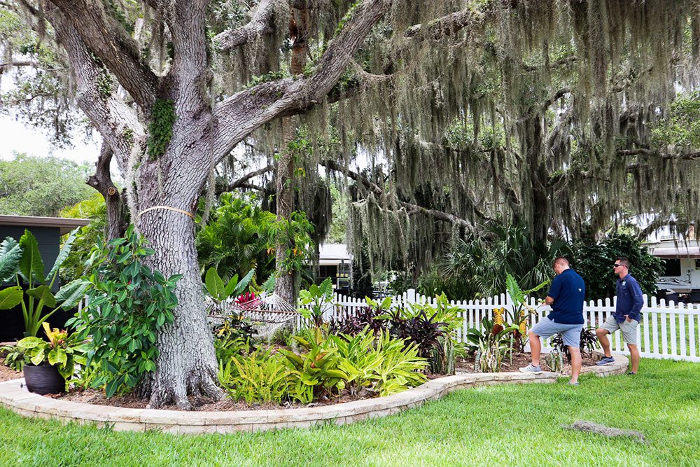 Peer Landscaping
