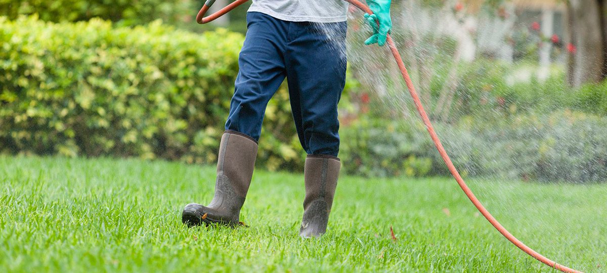 Fort Myers, FL - What Sets a Fertilizer Company Apart from Others is Quality