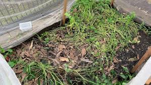 The Benefits of Adding Water Features to Your Landscape