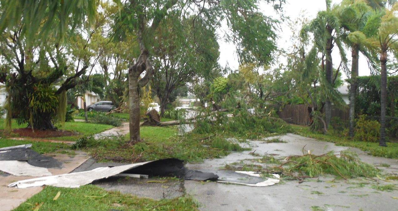 Landscape Cleanup After Hurricane Flooding