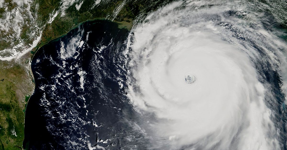 Caring for Your Landscape After a Hurricane