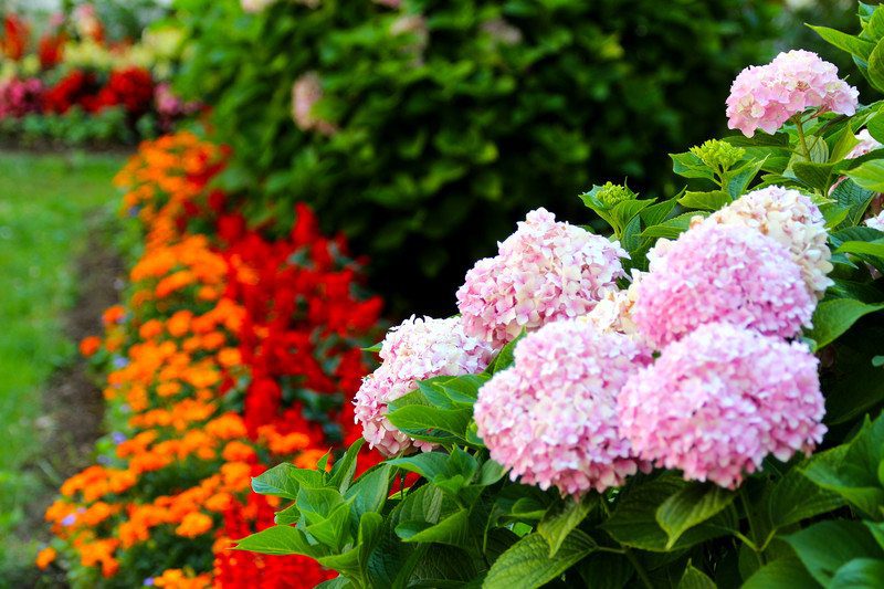 Peer Landscaping of Fort Myers FL