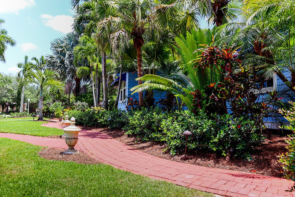 Avoiding the Pitfalls of Lanai Landscaping