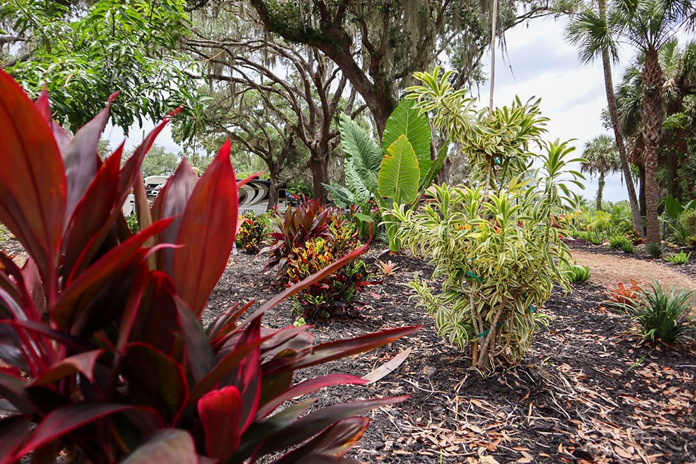 Lanai Landscaping At It’s Best