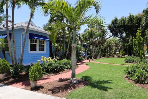 Caring for Your Newly Installed Landscape