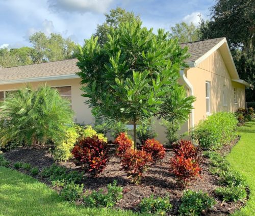 Peer Landscaping of Fort Myers FL