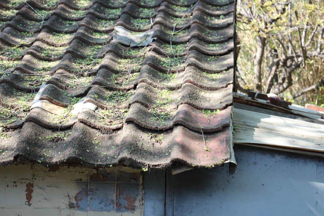 Port Charlotte, FL - Which Shingle Roof Repair Issues Need Immediate Attention?