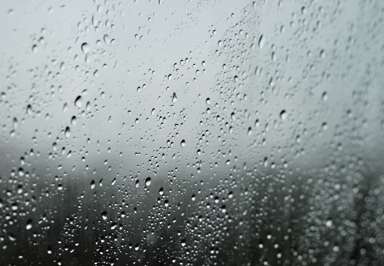 Fort Myers, FL - Can Privacy Window Tinting Lower Your Energy Bills?