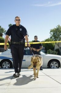 Investigation team