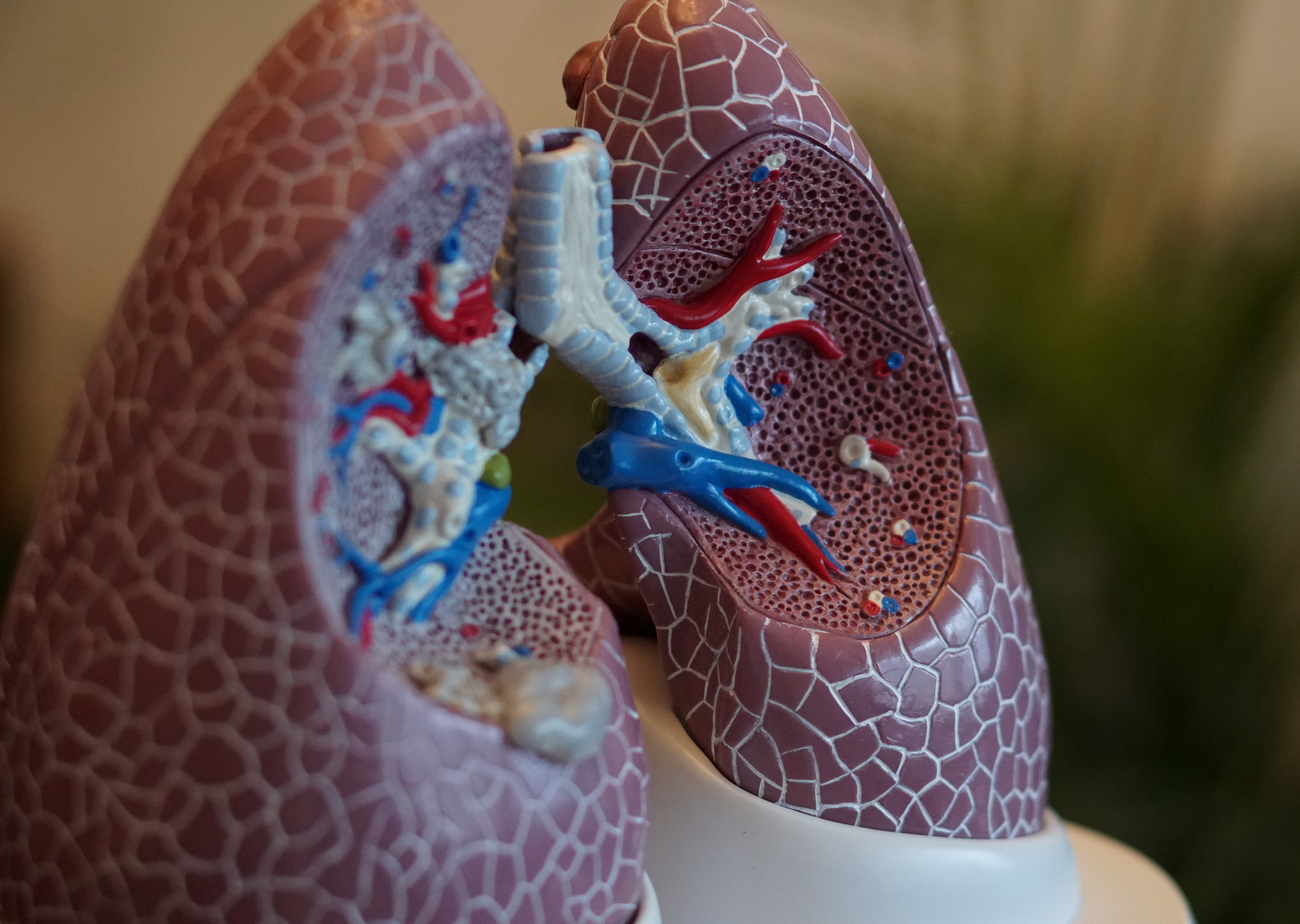 COPD Awareness