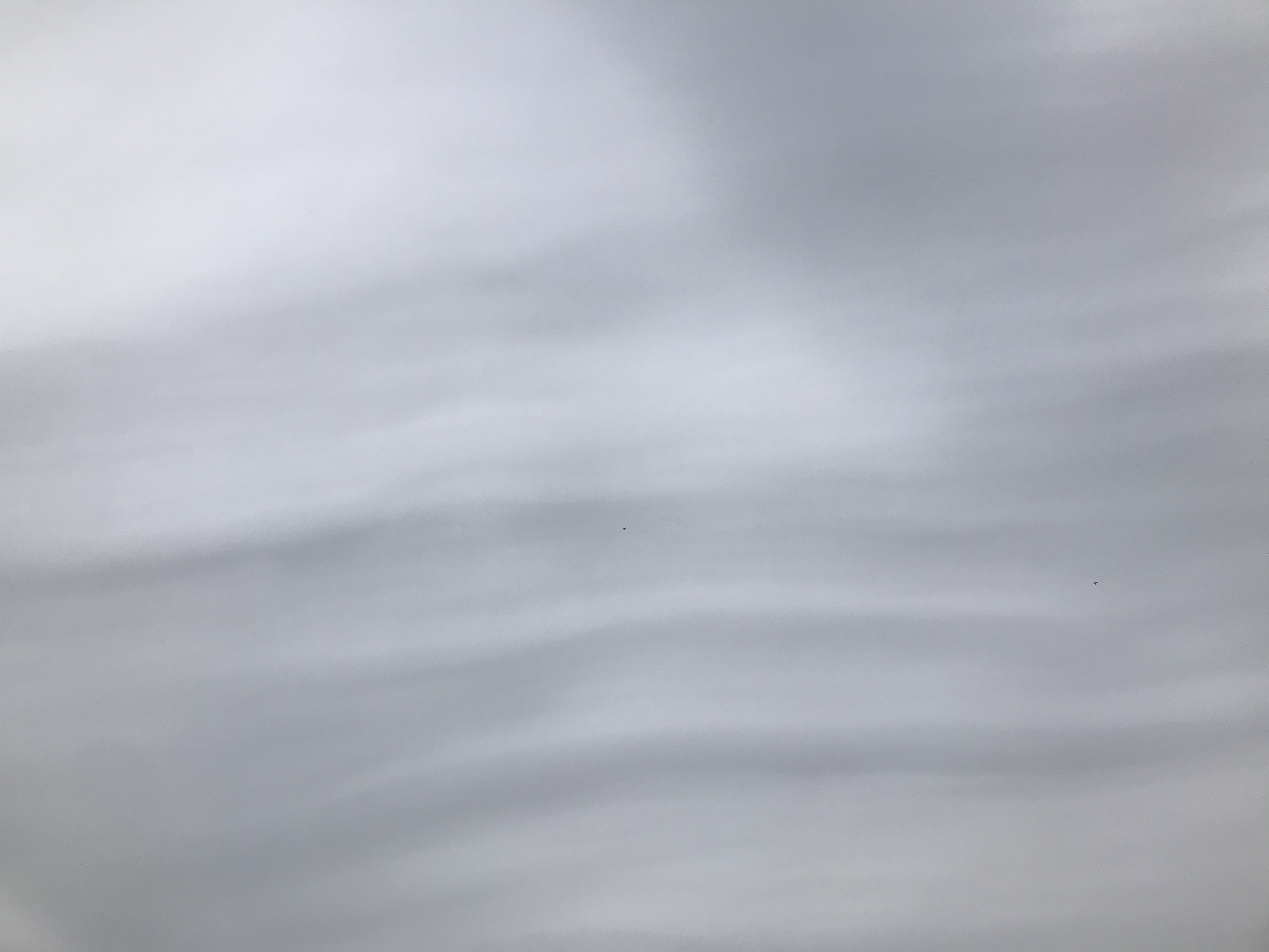 Boston Metrowest, MA: Thunderstorm and Lightning Safety Tips to Consider