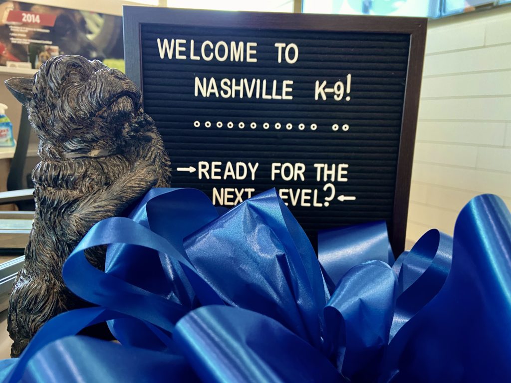 Facility Branding Graphics for Nashville K-9 Facility Branding Graphics for Nashville K-9