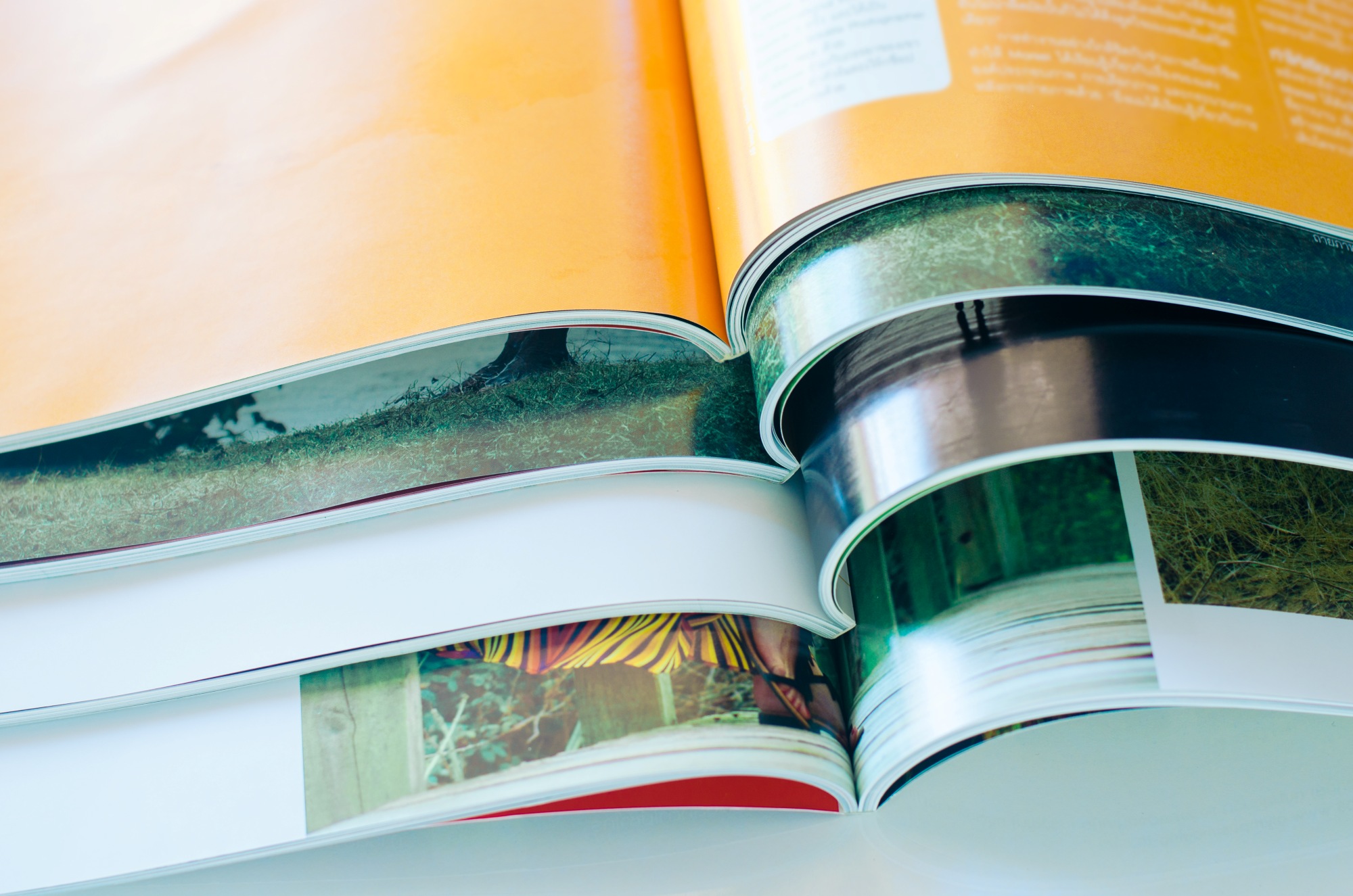 Fremont, CA - Printing Center Compares Trifold vs. Bifold Brochure Services