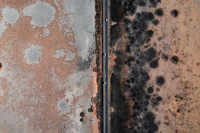 Fullerton, CA - Common Mold Signs | Advice from Our Mold Remediation Company