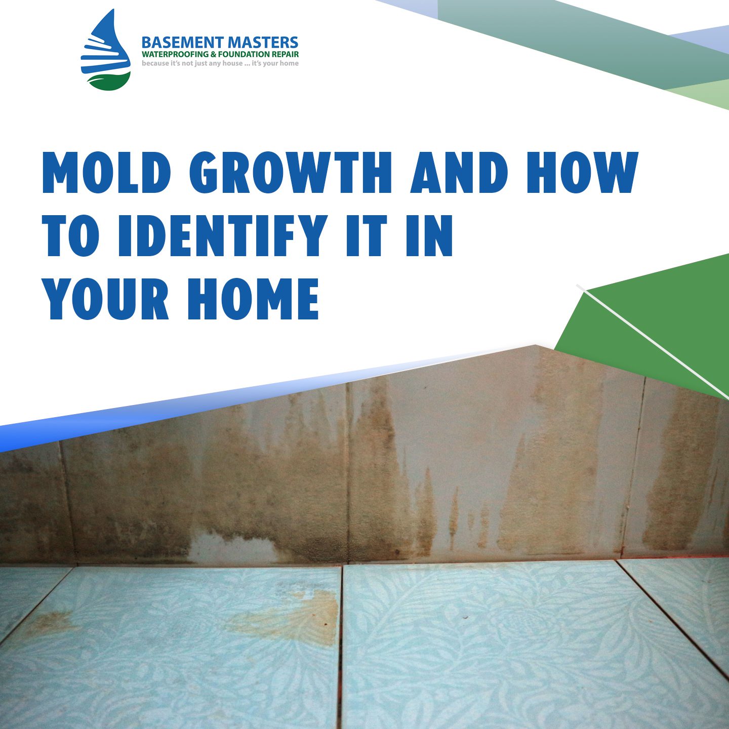 Mold Growth In Your Home And How To Identify It | Basement Masters Waterproofing