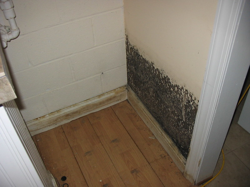 Molded Basements