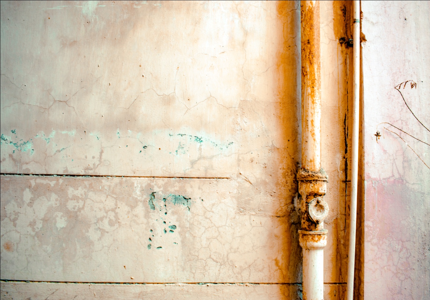 Water Damage Repair