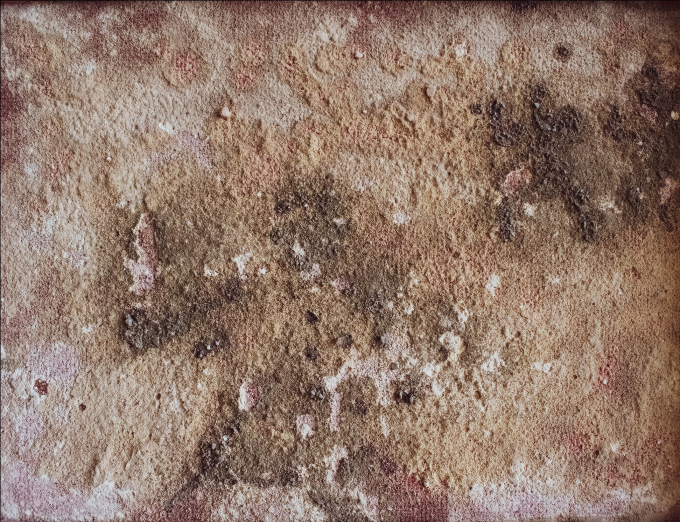 Mold Growth