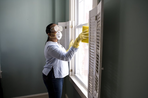 Mold Inspection