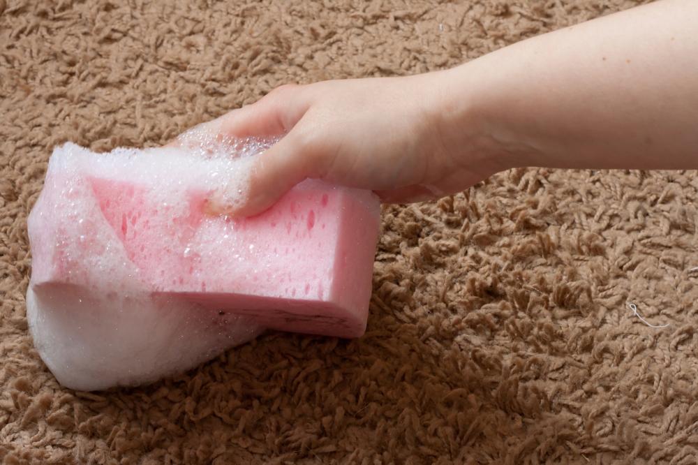 Water-Damaged Carpet