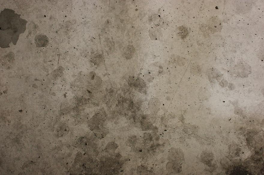 Mold on Bathroom Walls