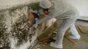 Mold