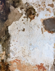 Mold