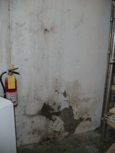 Structural Damage