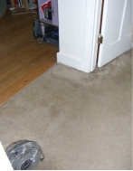Carpet