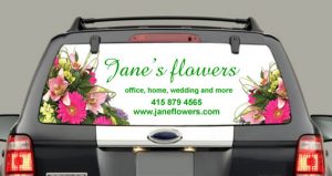 janes