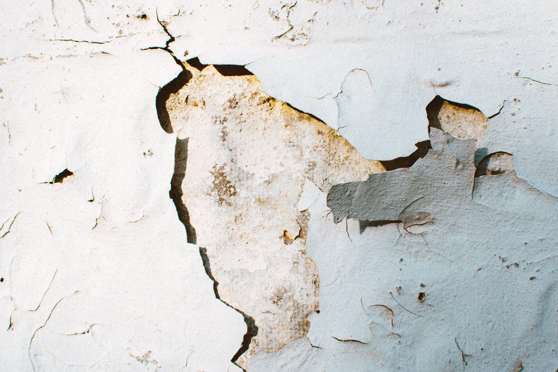 Mold Damage