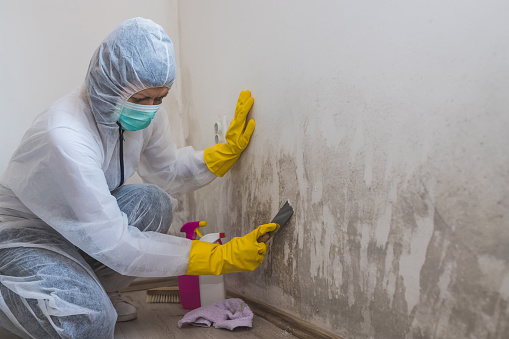 Mold Growth