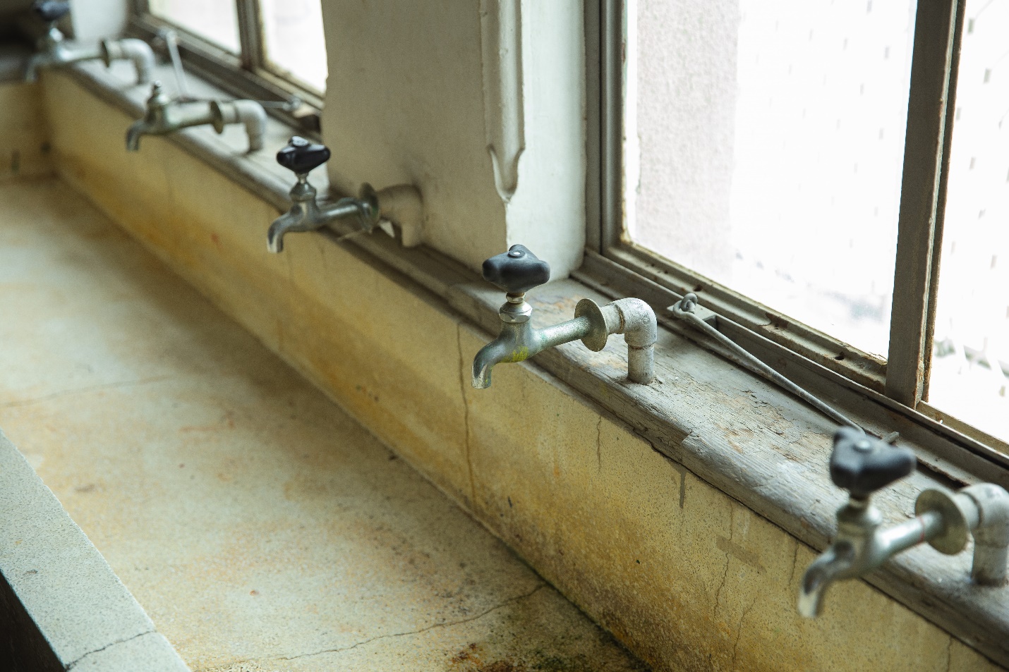 Mold