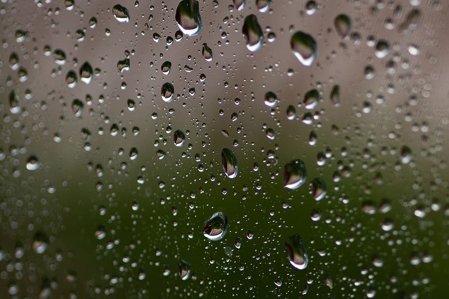 Dehumidifier
