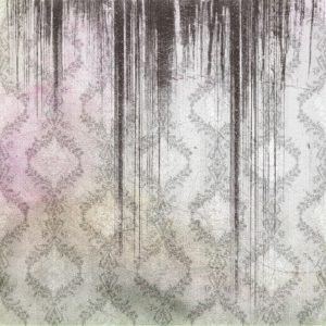 Mold Growth