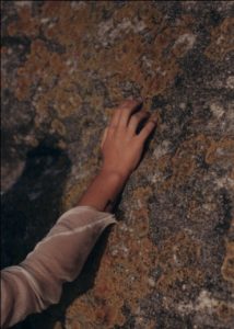 Mold Prevention