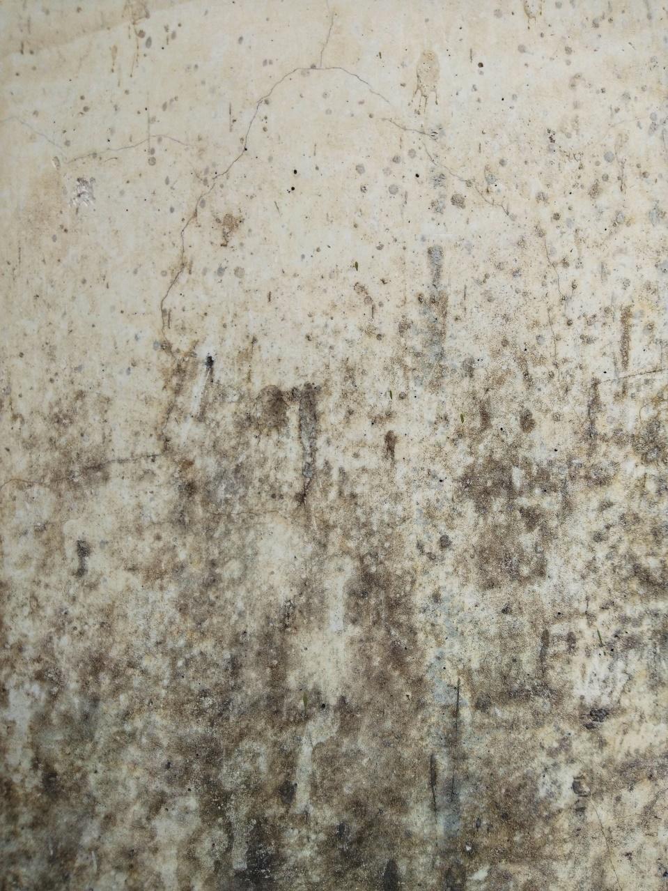 Simpsonville, SC - Home Restoration Company Shares Mold Remediation Process