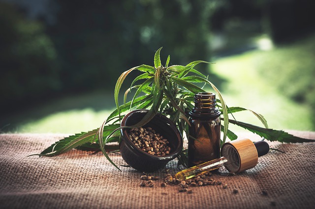 Helotes, Texas | How Can I Find Quality Delta 8 Moon Rocks? – Mary Janes CBD