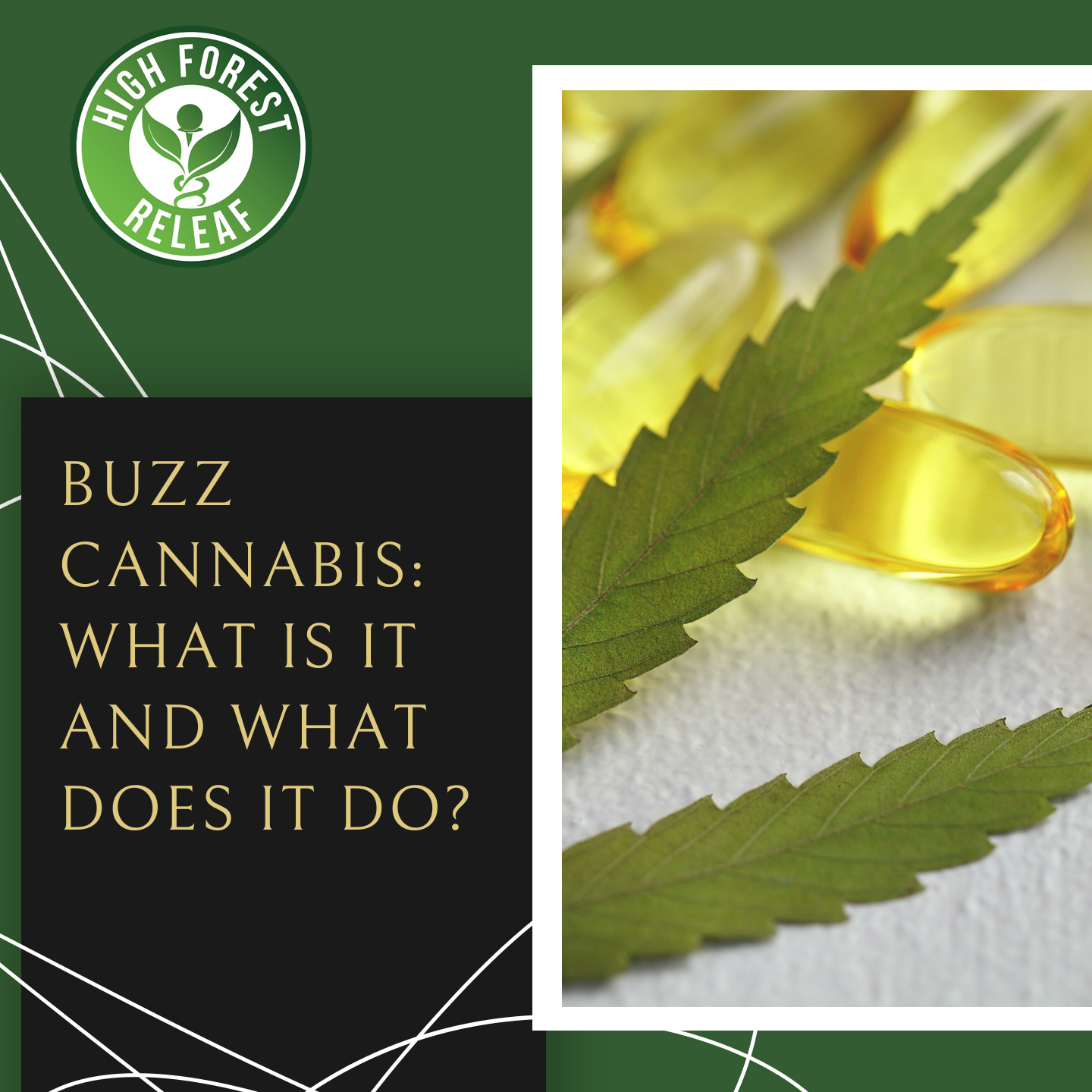 High-Forest-ReLeaf-CBD-Hohenwald-Tennessee-buzz-cannabis-what-is-it-and-what-does-it-do
