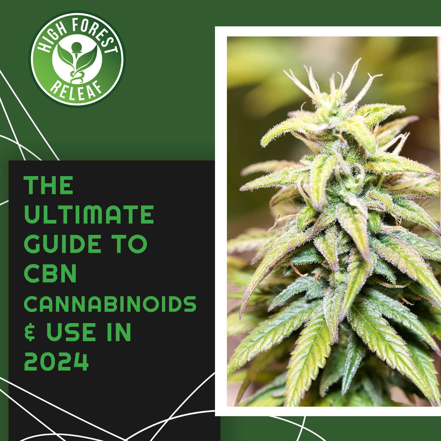 High-Forest-ReLeaf-CBD-Hohenwald-Tennessee-the-ultimate-guide-to-cbn-cannabinoids-use-in-2024