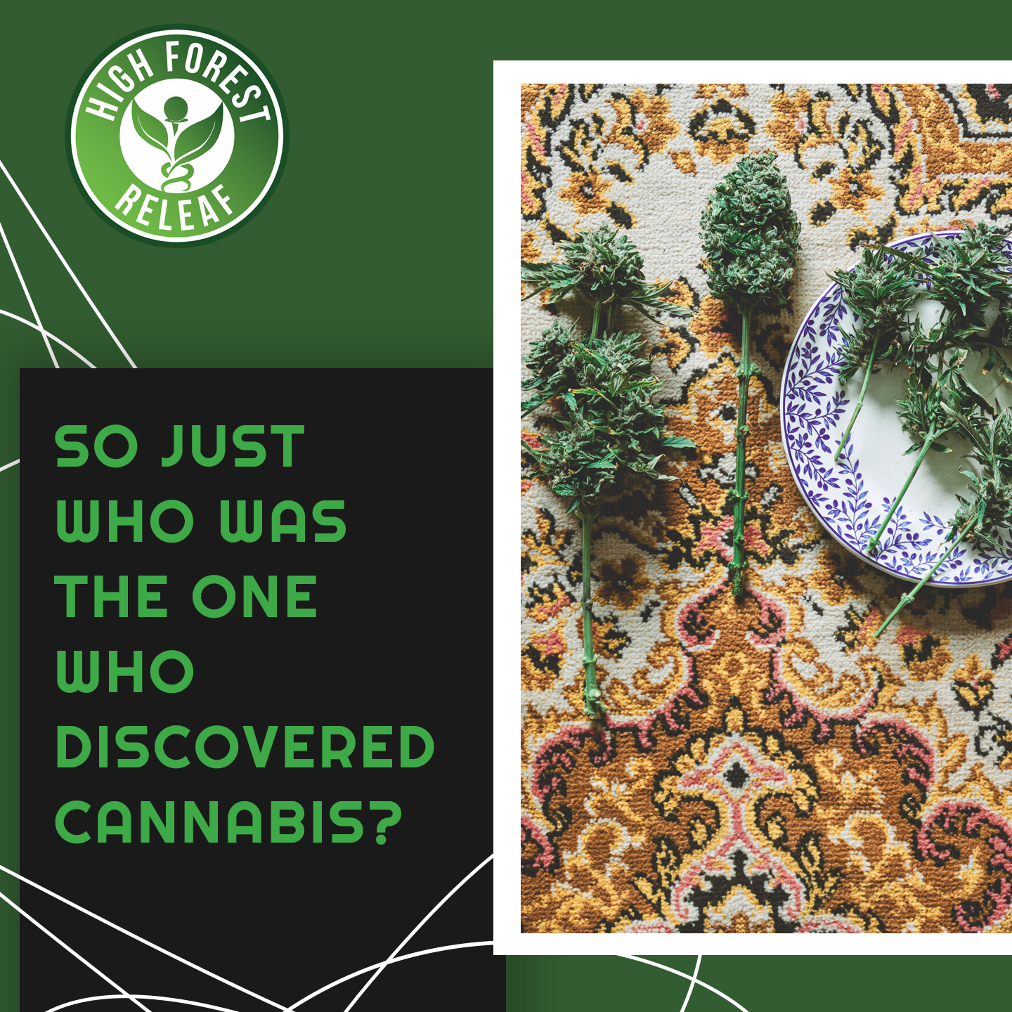 High-Forest-ReLeaf-CBD-Hohenwald-Tennessee-who-discovered-cannabis
